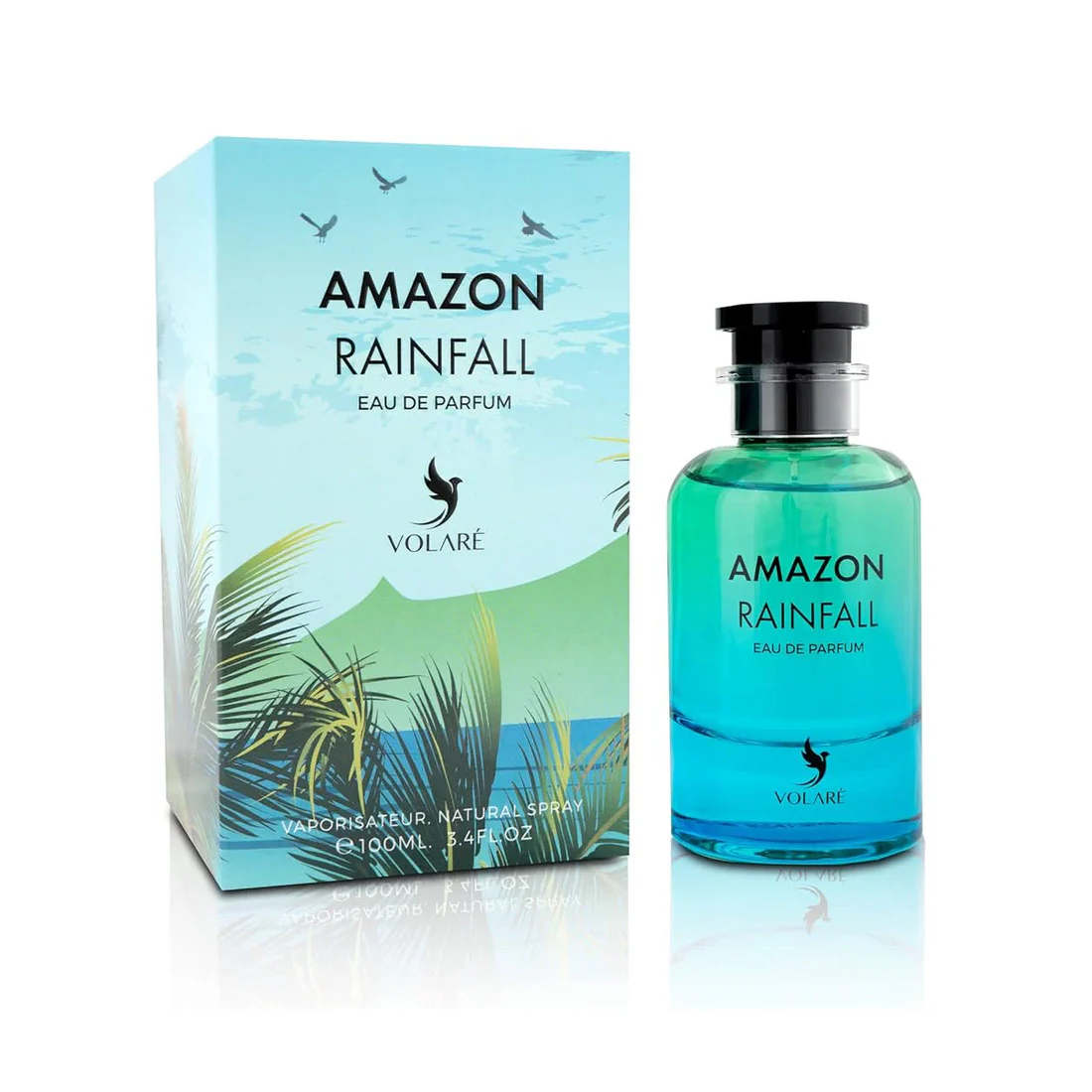 Amazon Rainfall