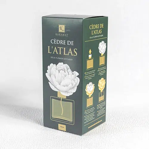 Cèdre De L'atlas