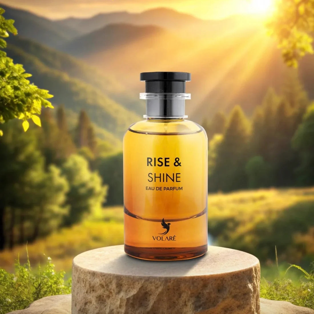Rise En Shine